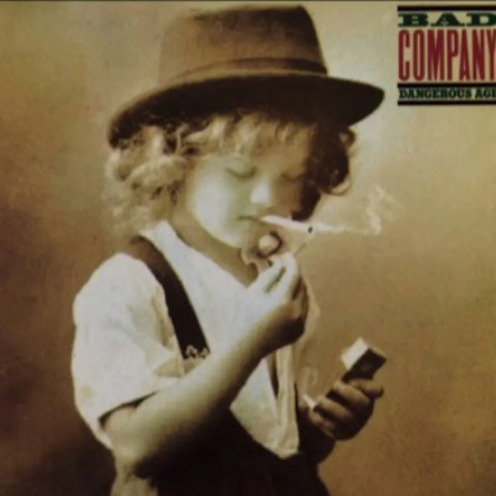 skrapper.bsky.social's profile picture