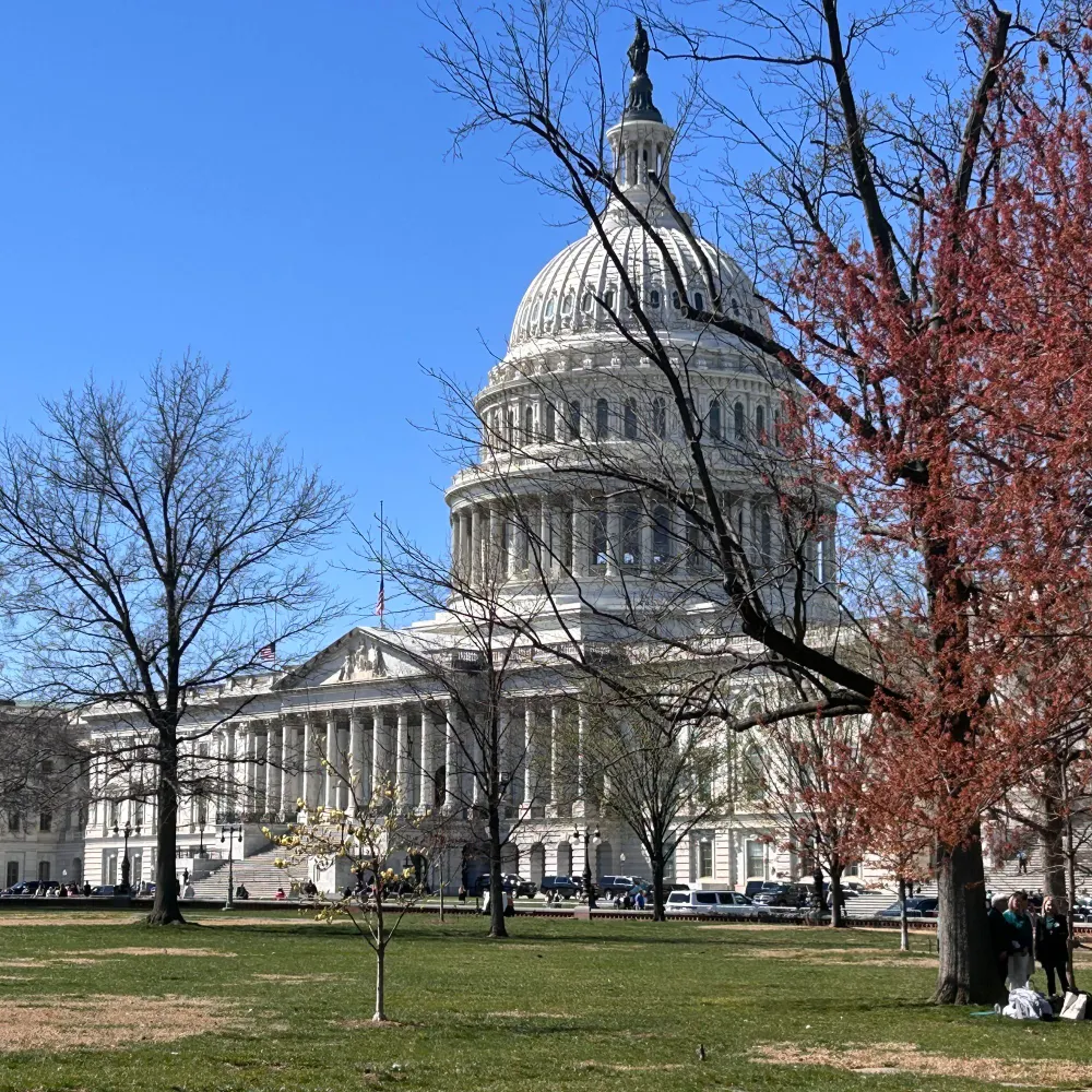 uksista66.bsky.social's profile picture