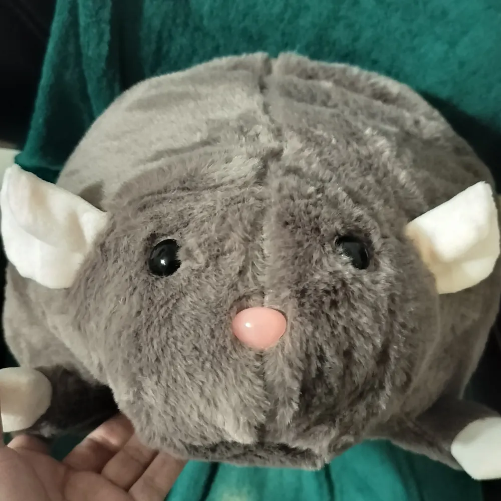 angelic-sprinkles.bsky.social's profile picture