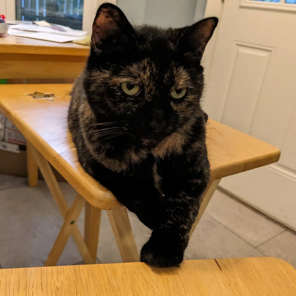 hamiltwan.bsky.social's profile picture