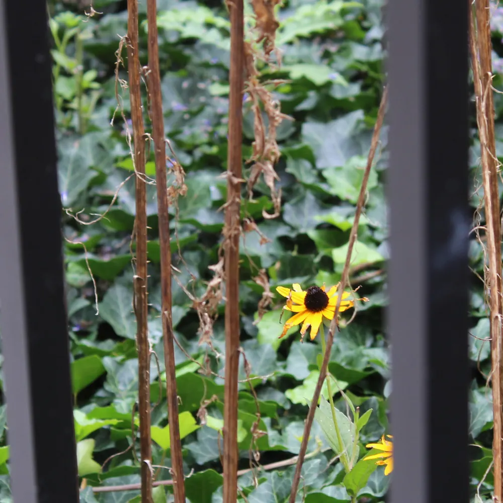 ohnowwhat.bsky.social's profile picture