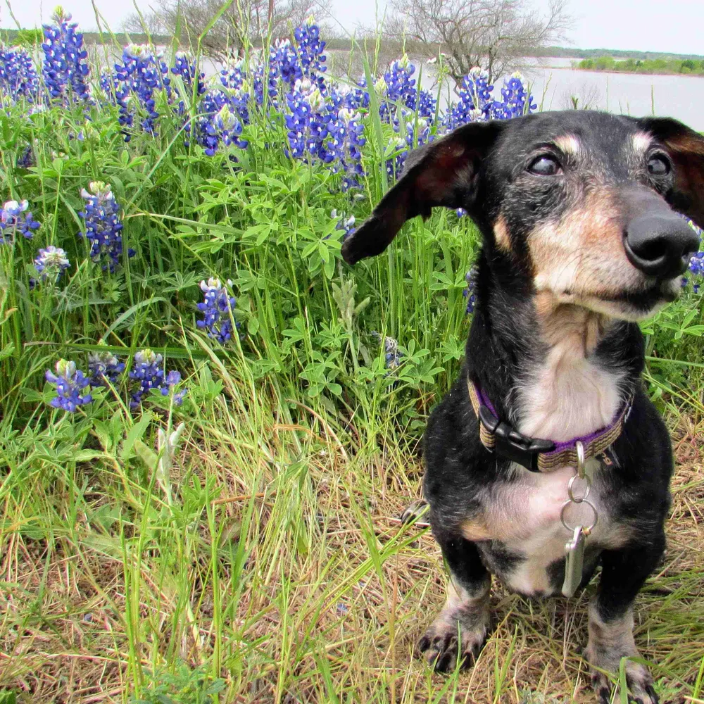 clport.bsky.social's profile picture