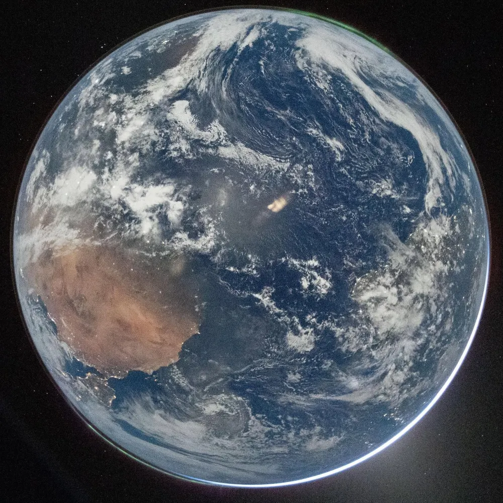 freeloosedirt.bsky.social's profile picture