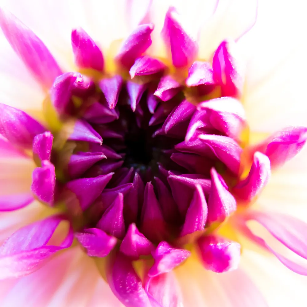 dwblue.bsky.social's profile picture