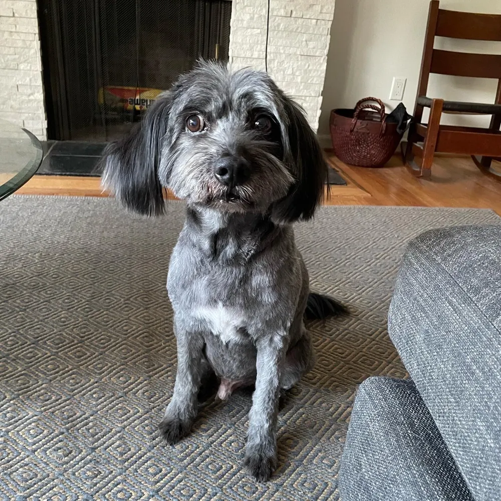 anderdude.bsky.social's profile picture