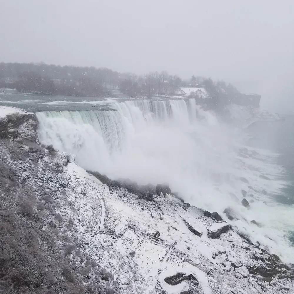 packratvintage.bsky.social's profile picture