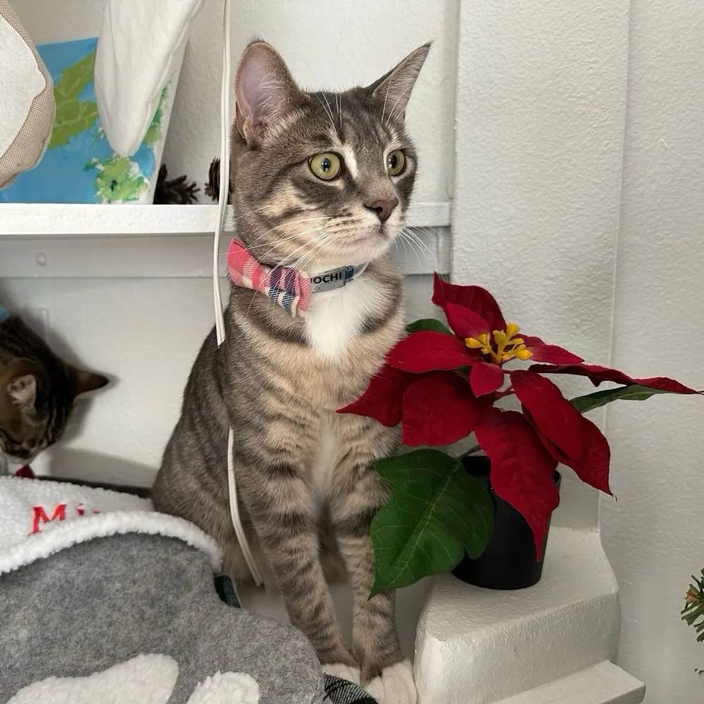 pnwdweller.bsky.social's profile picture