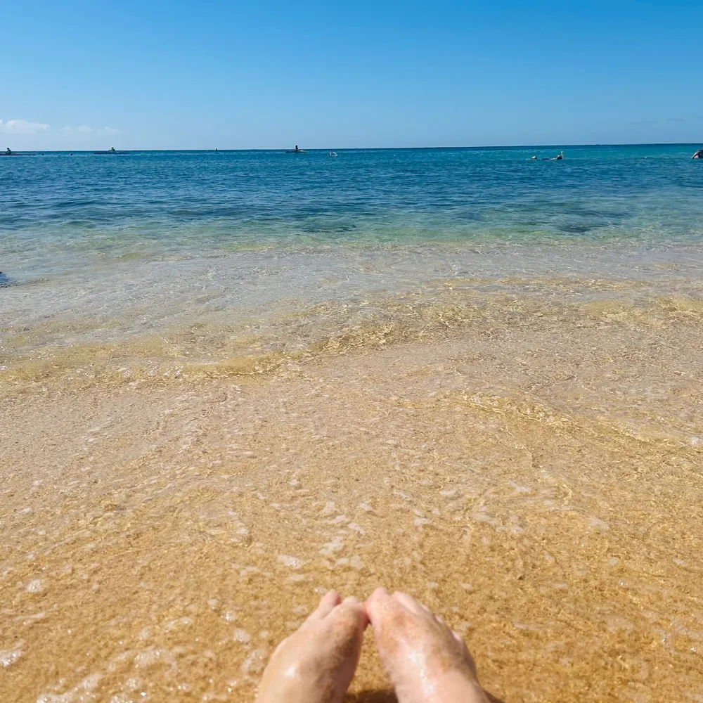 ladybuggers.bsky.social's profile picture