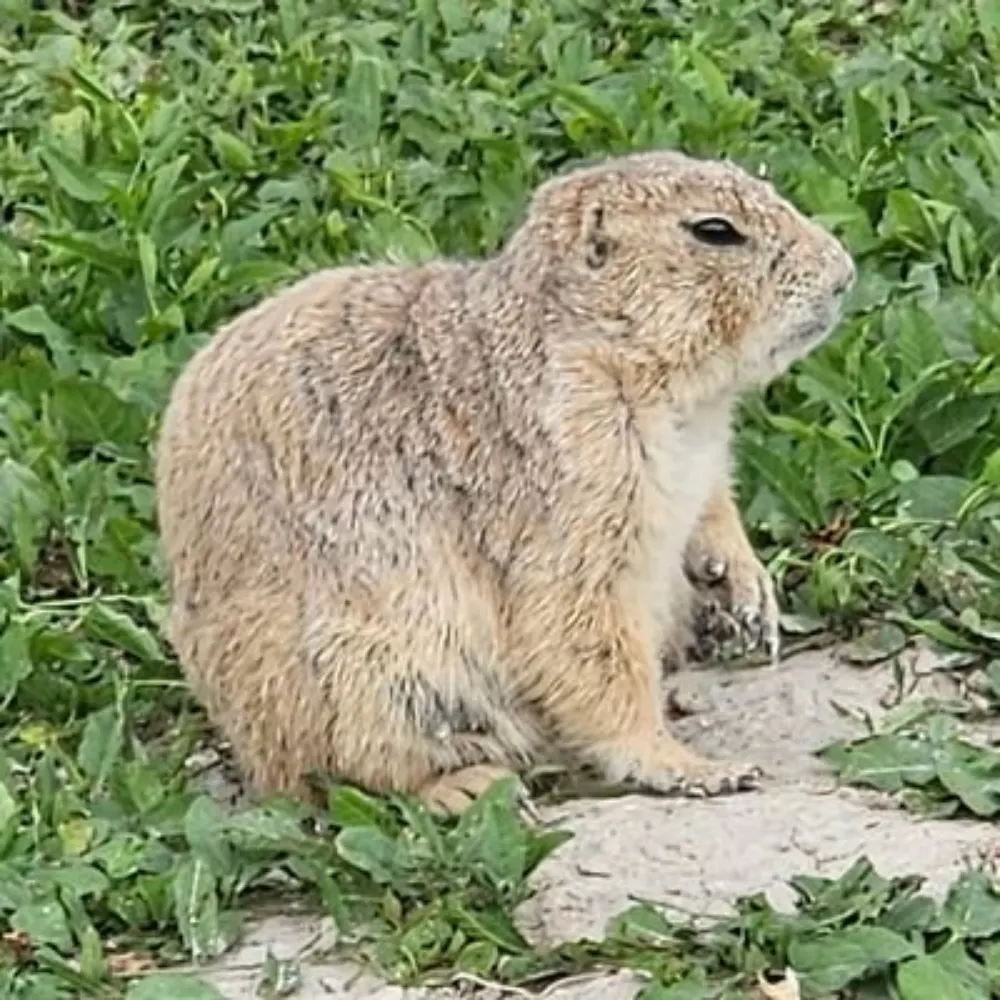 sbeekeeper.bsky.social's profile picture