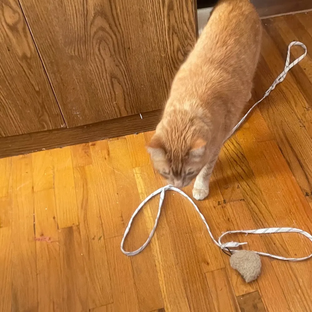 chucker17.bsky.social's profile picture