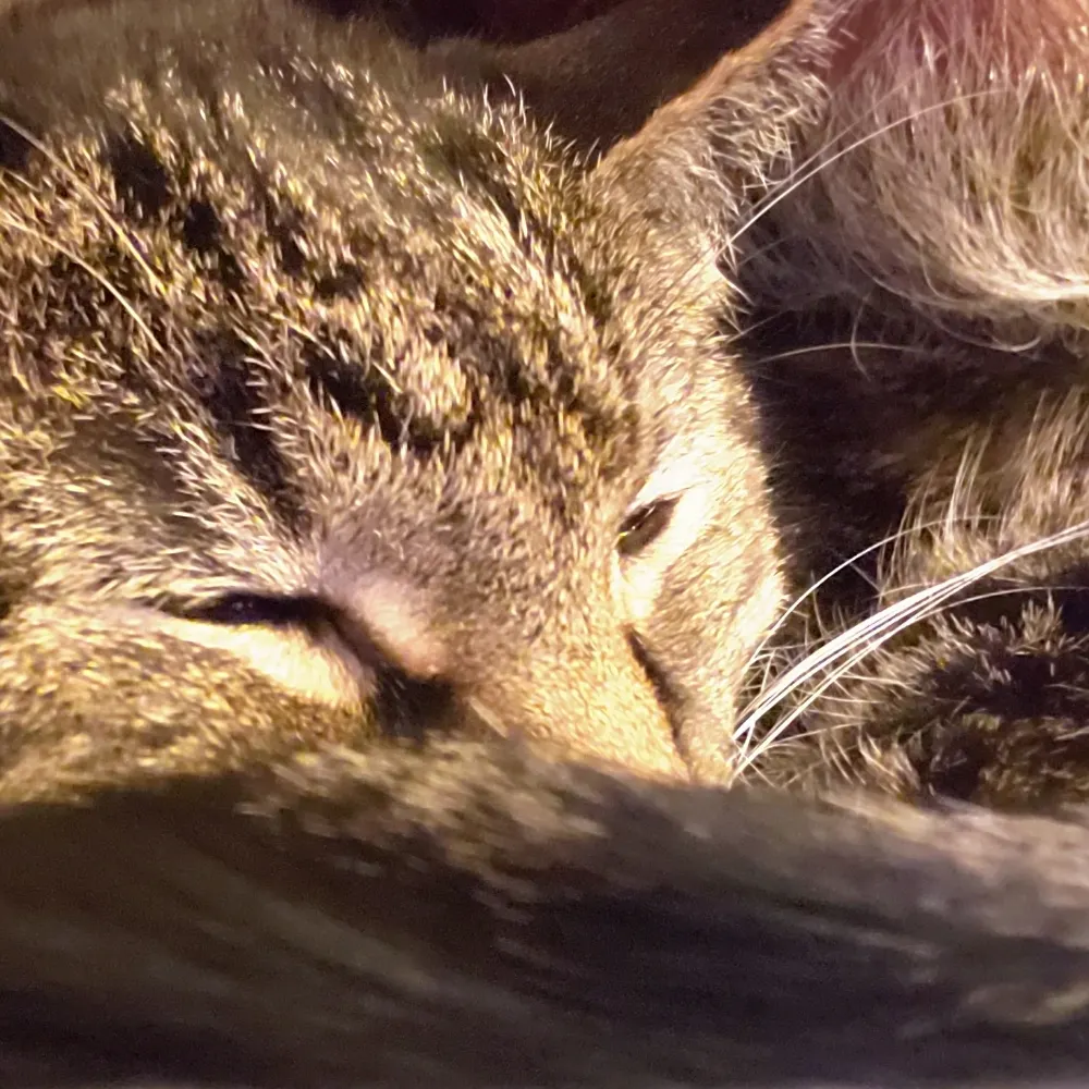 sotsogm.bsky.social's profile picture