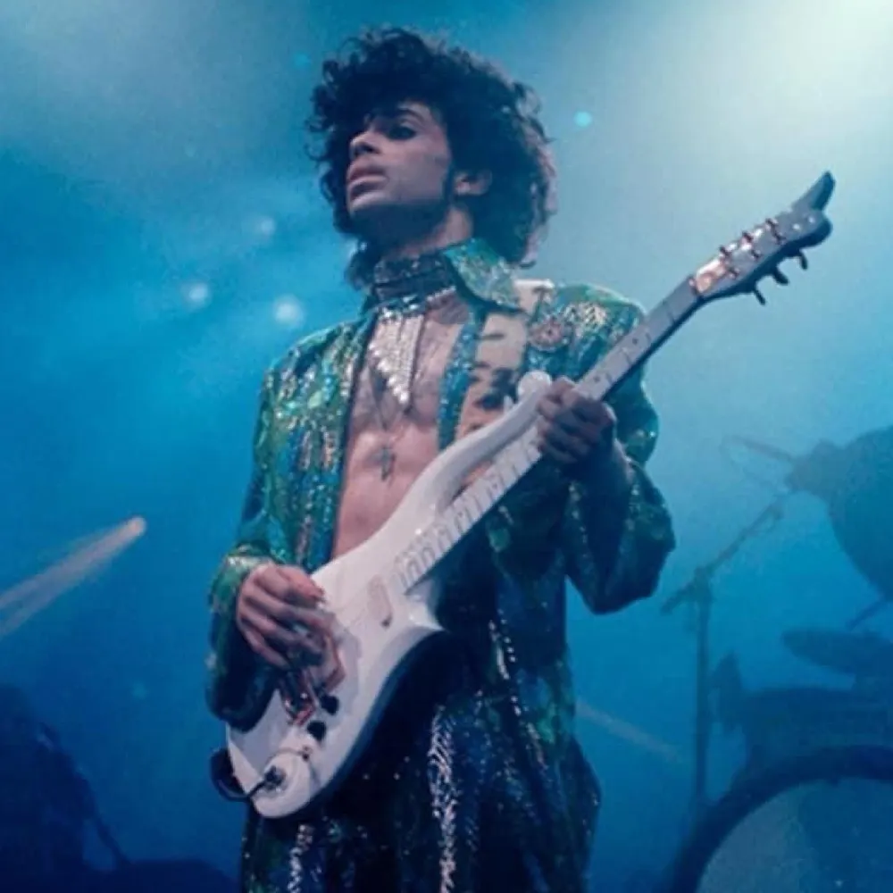 purplejane252.bsky.social's profile picture