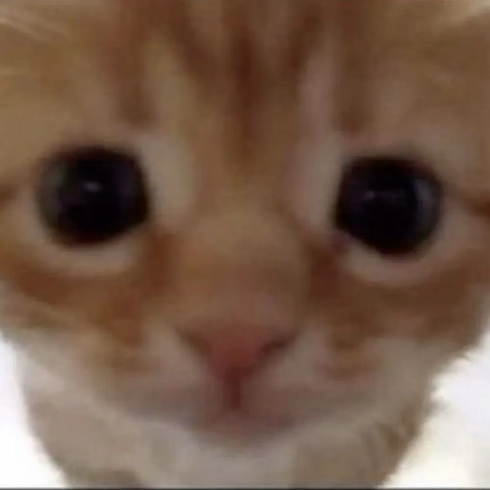 oofmoment420.bsky.social's profile picture