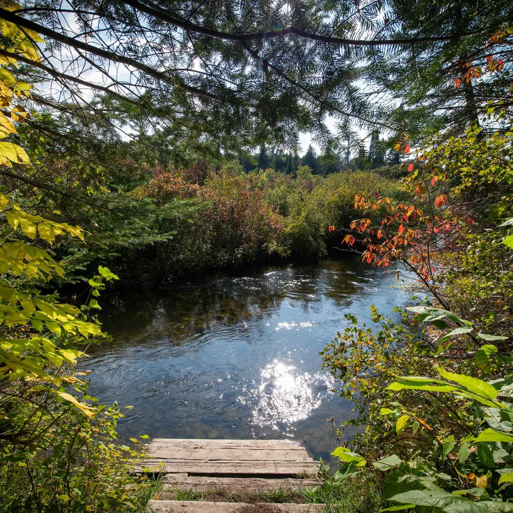 brooktroutcafe.bsky.social's profile picture