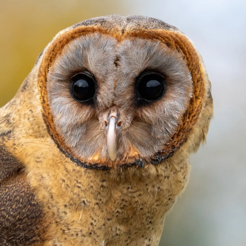 photosteve.bsky.social's profile picture