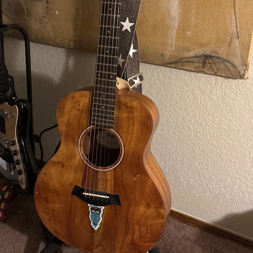 ppruett.bsky.social's profile picture