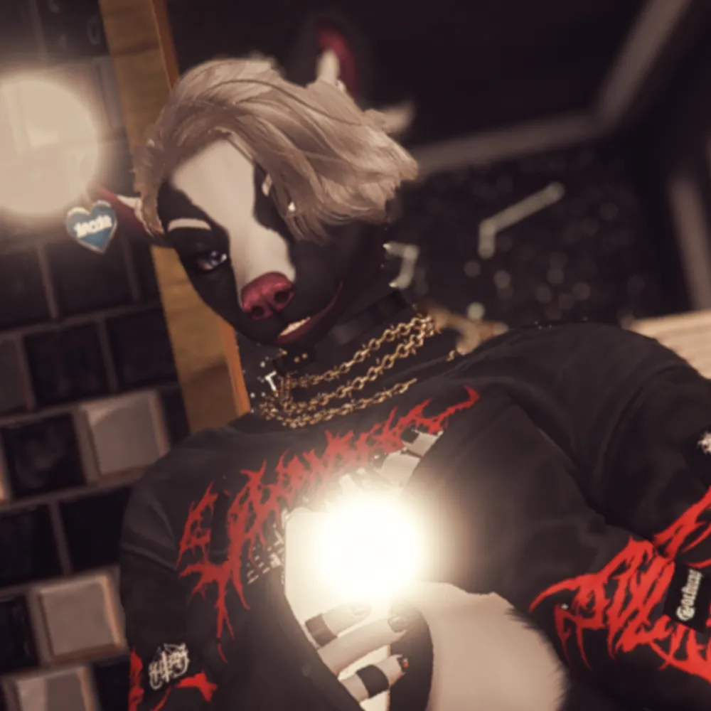 lukasisaskunk.bsky.social's profile picture