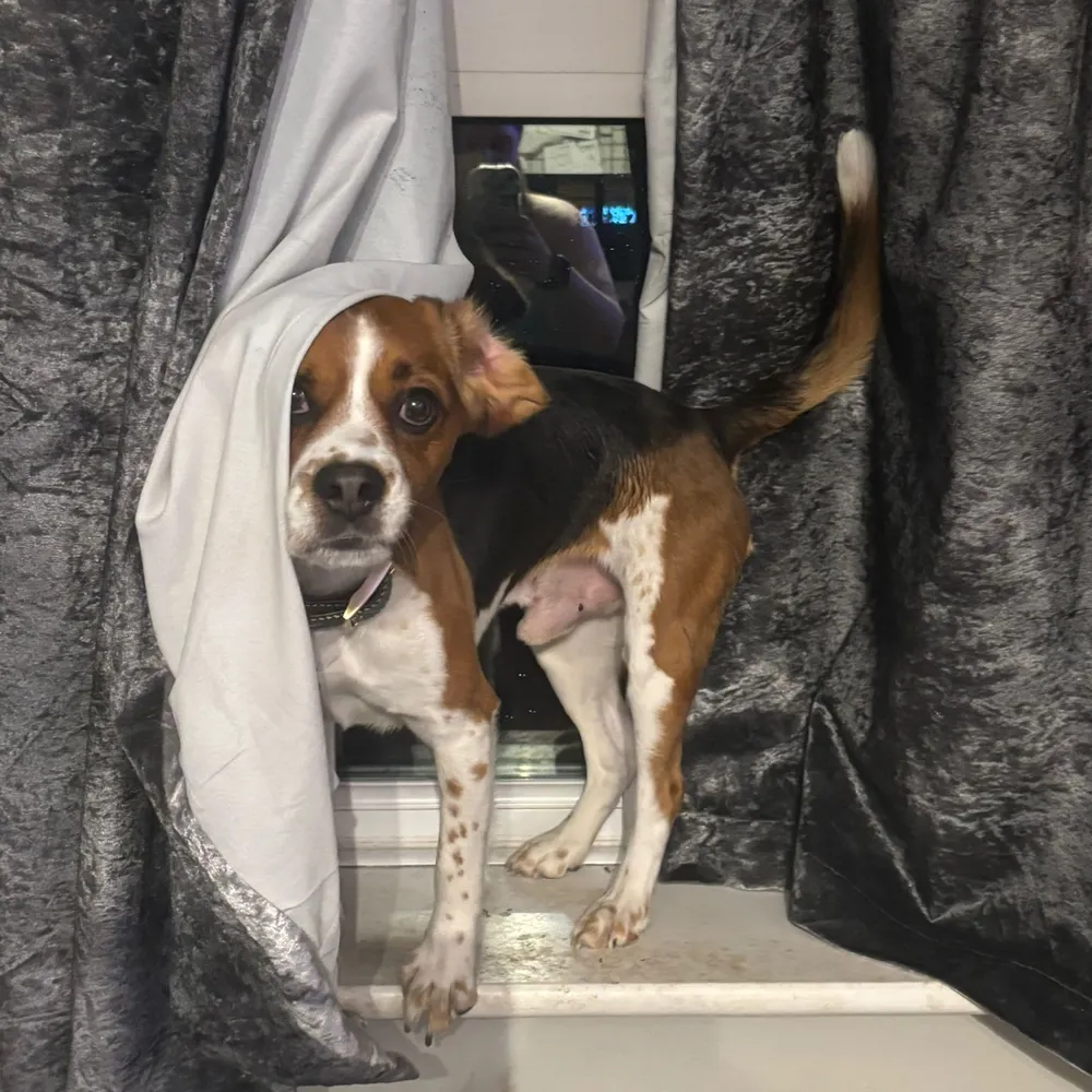 whoopsydaisy76.bsky.social's profile picture