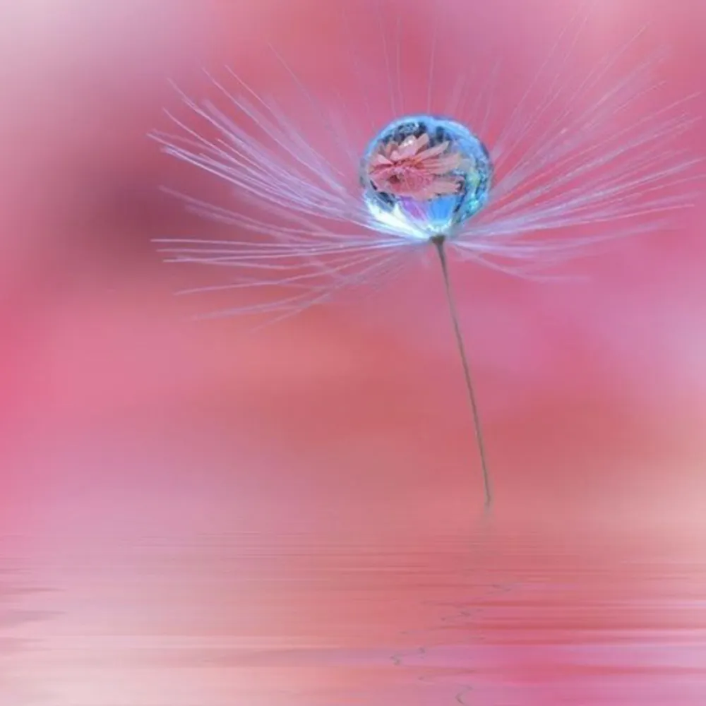 ginsol.bsky.social's profile picture