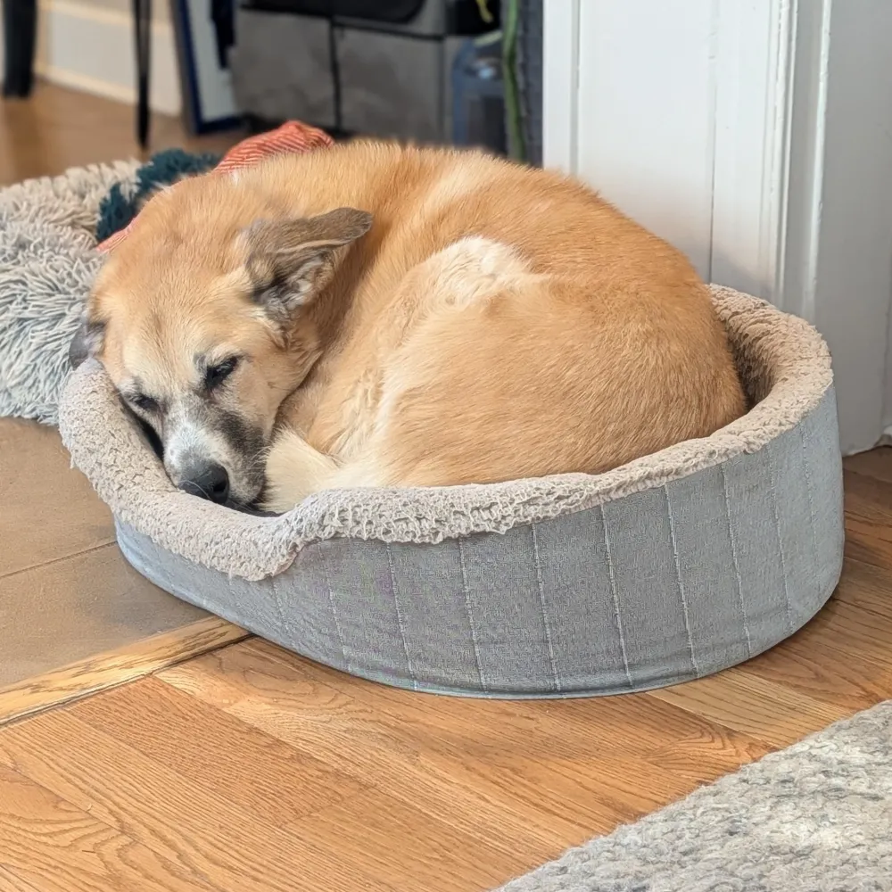 jonesetc.com's profile picture