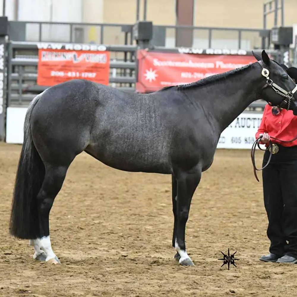 quartersnpaints.bsky.social's profile picture