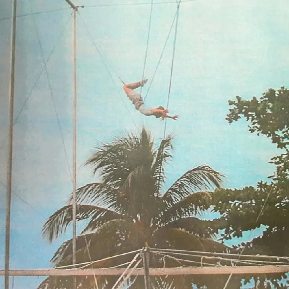 amybramble.bsky.social's profile picture