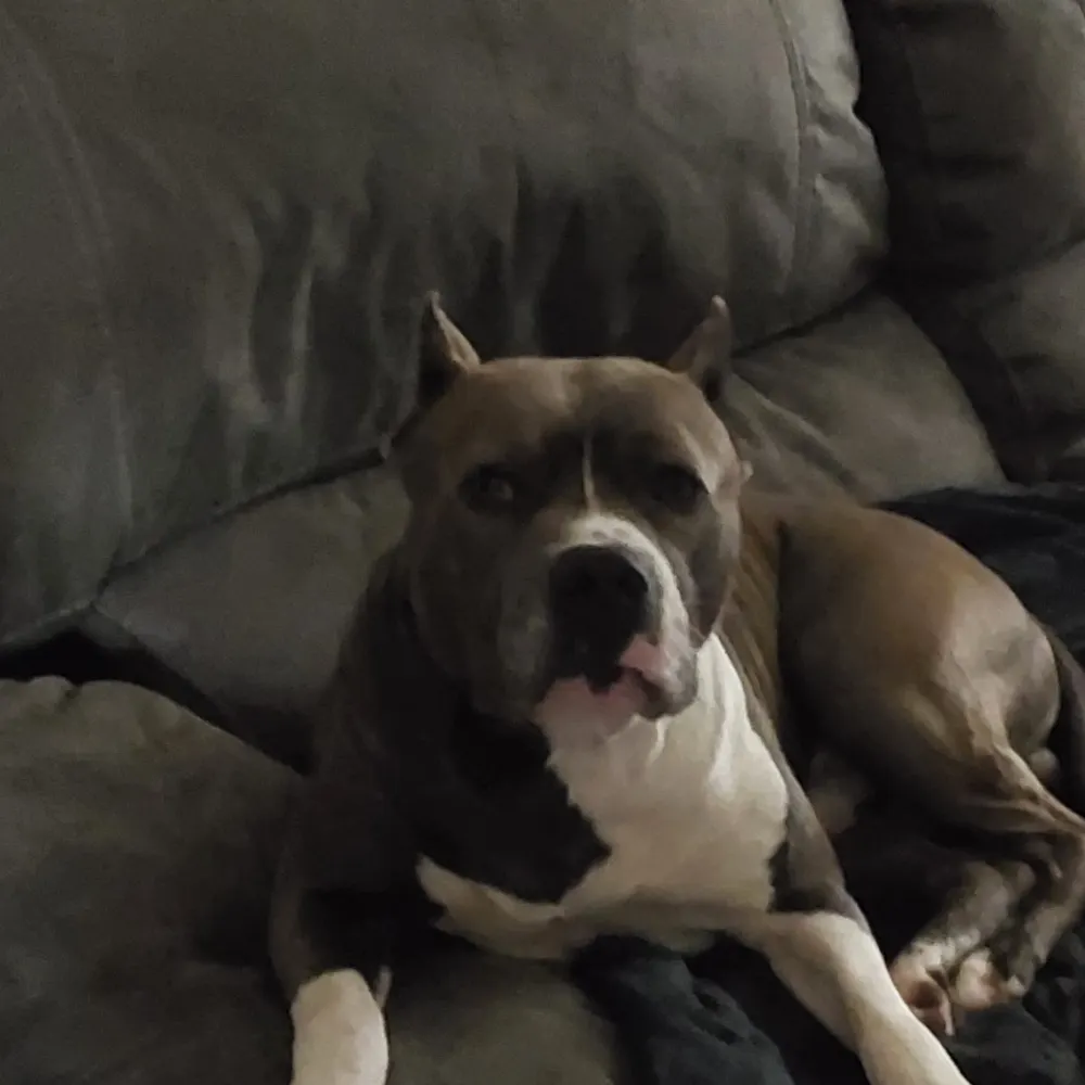 terryezell.bsky.social's profile picture