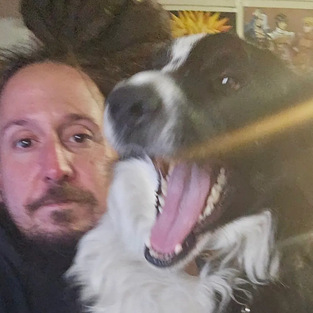 tylergscott.com's profile picture