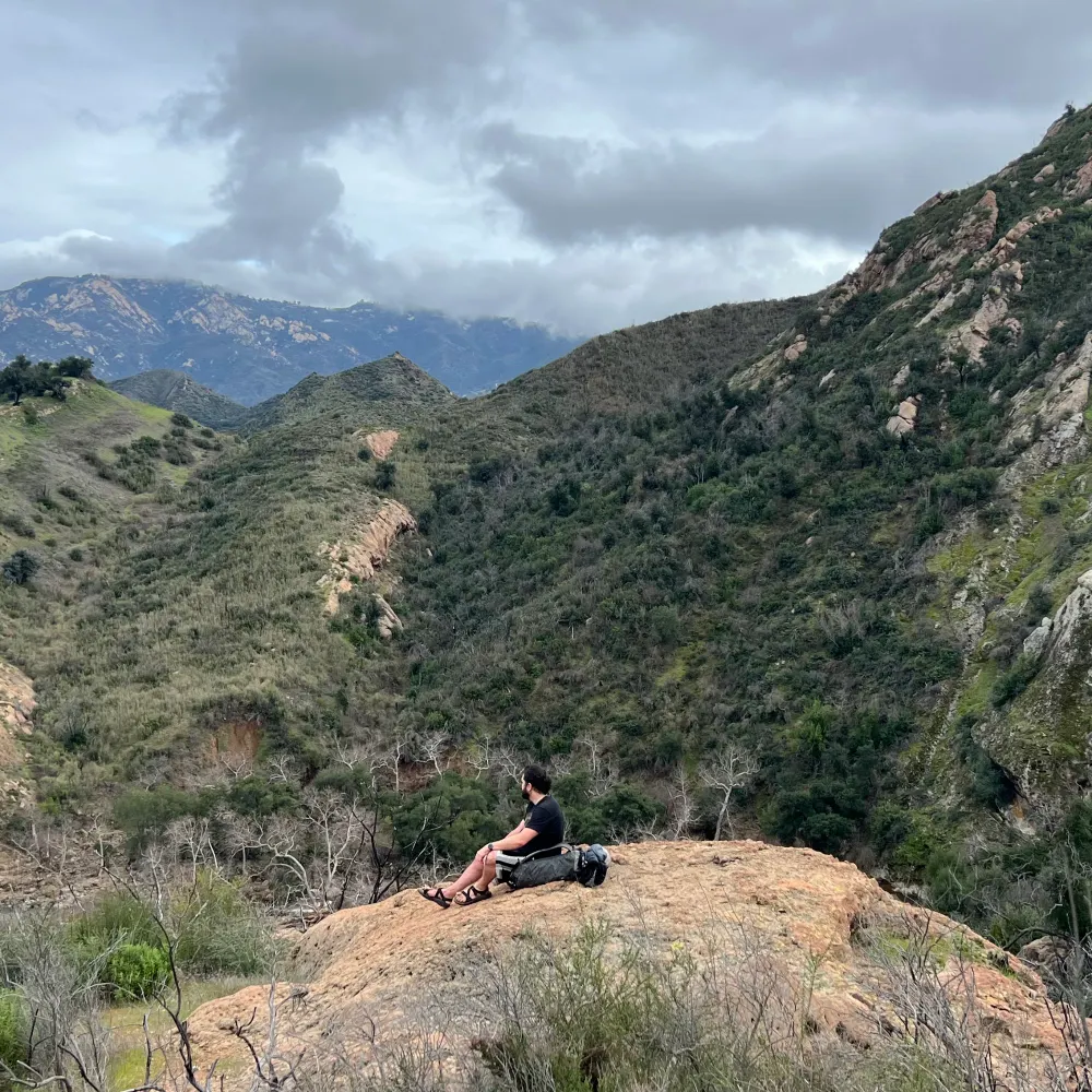 adaptable.bsky.social's profile picture