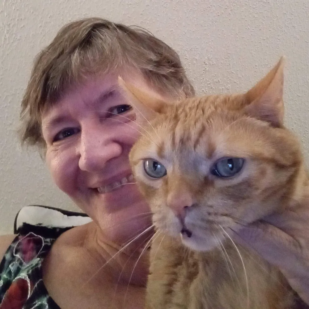 danajn.bsky.social's profile picture