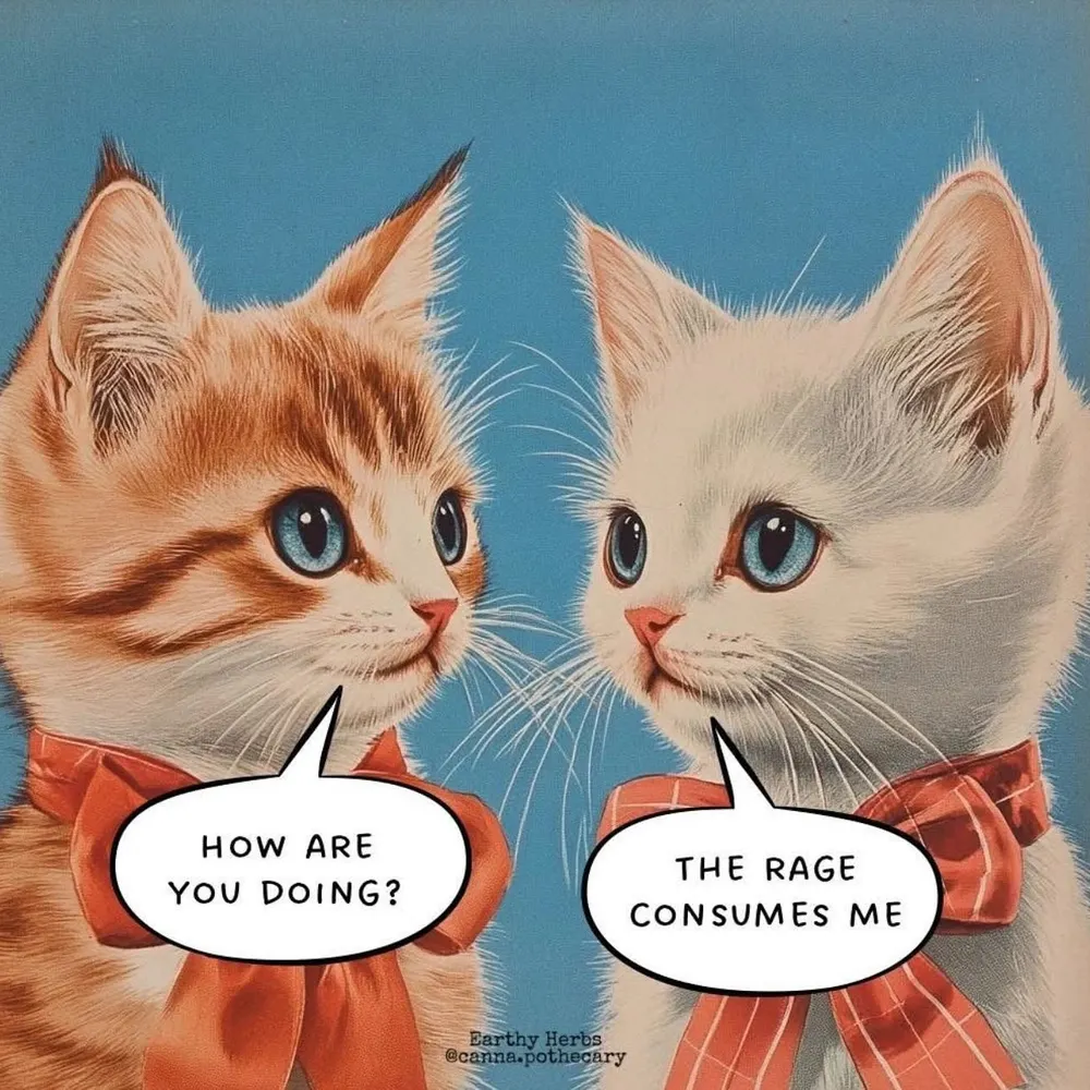 sherri5.bsky.social's profile picture