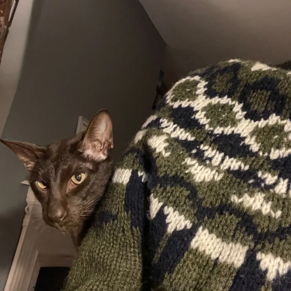 andrewmale.bsky.social's profile picture