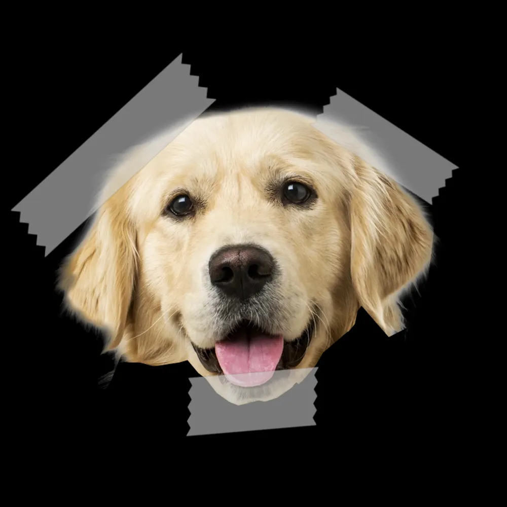 exegetic.bsky.social's profile picture