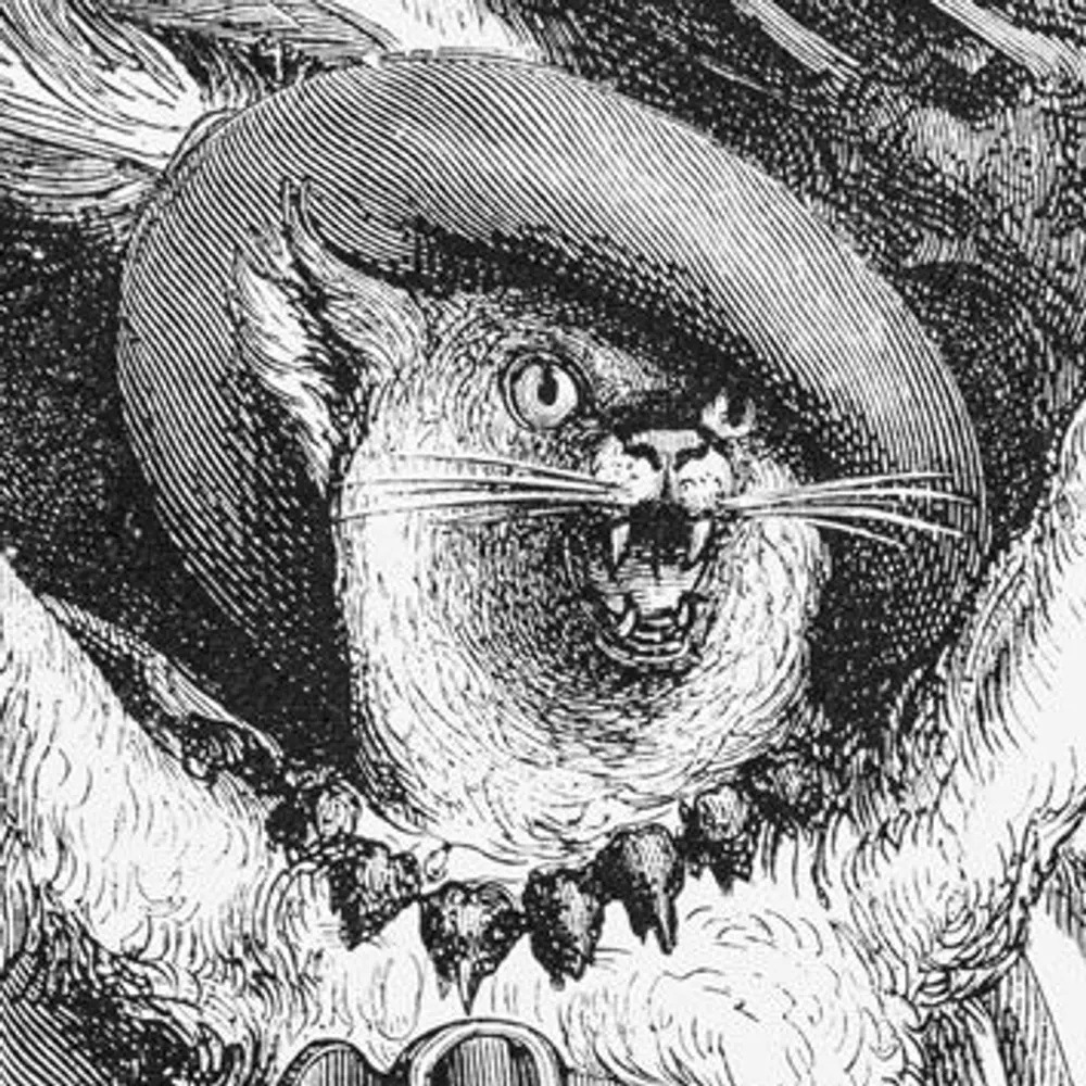 merz.bsky.social's profile picture