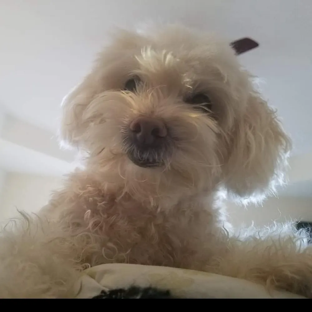 mlleared.bsky.social's profile picture