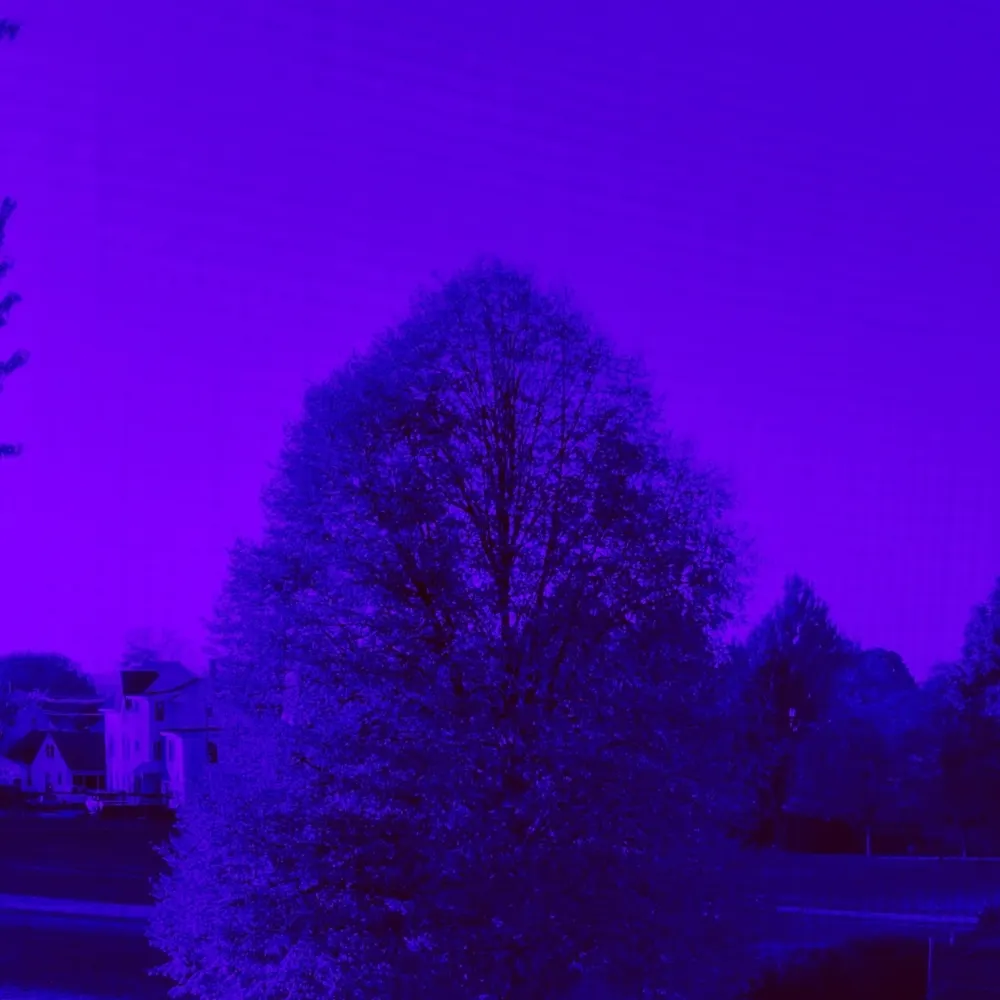 yvettejacques.bsky.social's profile picture