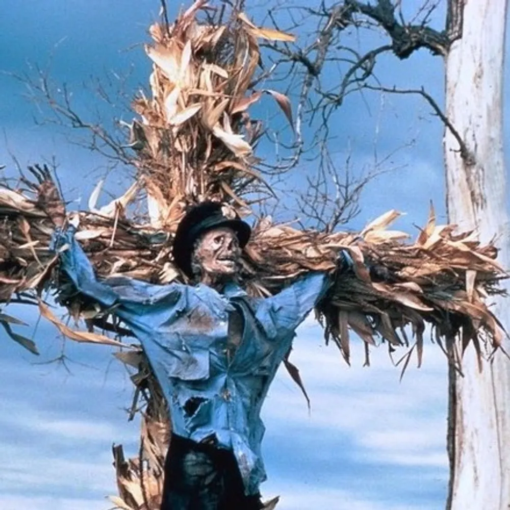 theblueman.bsky.social's profile picture