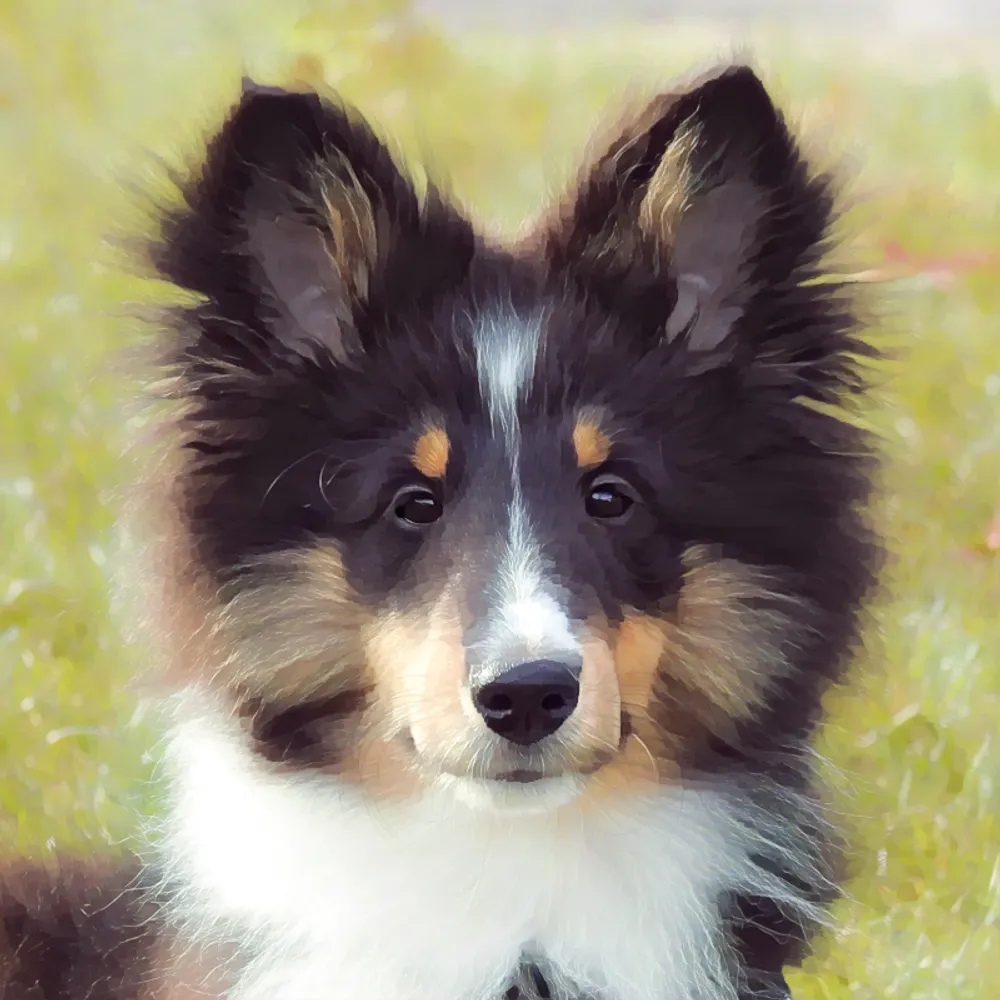 callumsmom.bsky.social's profile picture