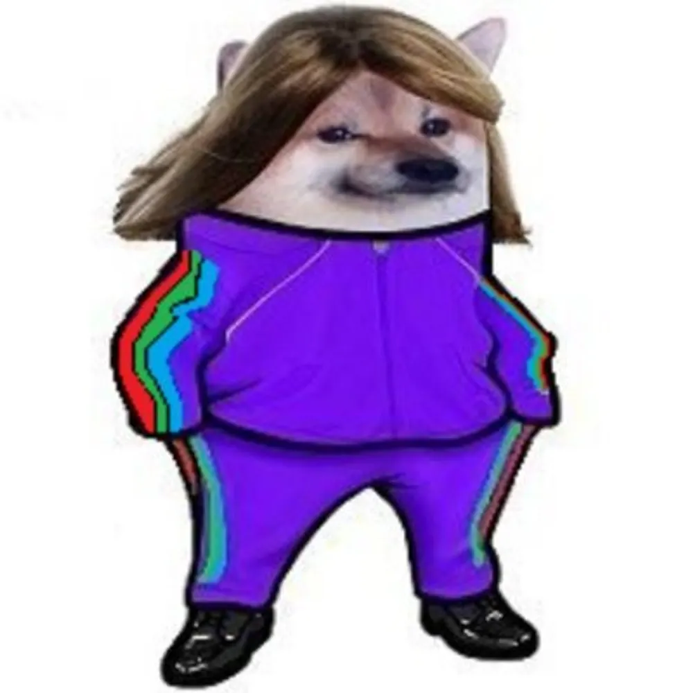 thisuserisdumb.bsky.social's profile picture