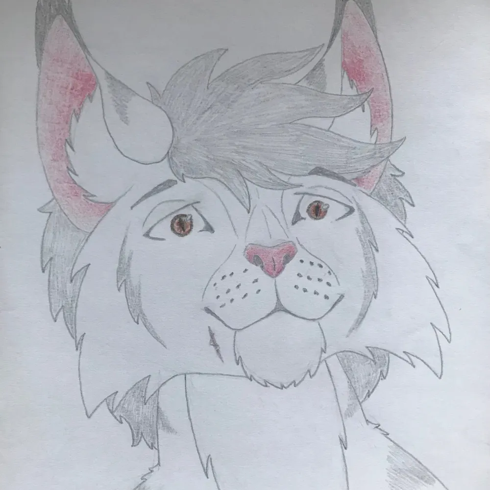 kotjeslavpawarov.bsky.social's profile picture