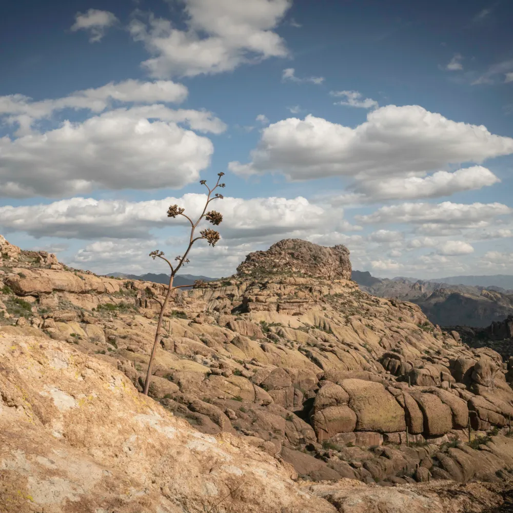 jean3263.bsky.social's profile picture