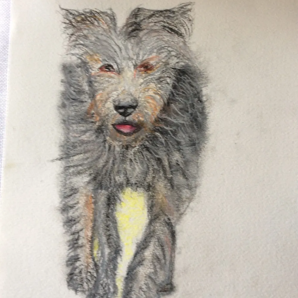 growell.bsky.social's profile picture