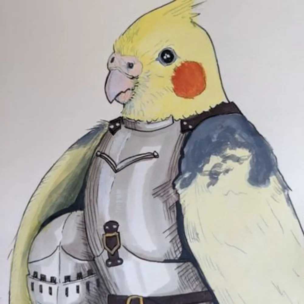 birblib.bsky.social's profile picture