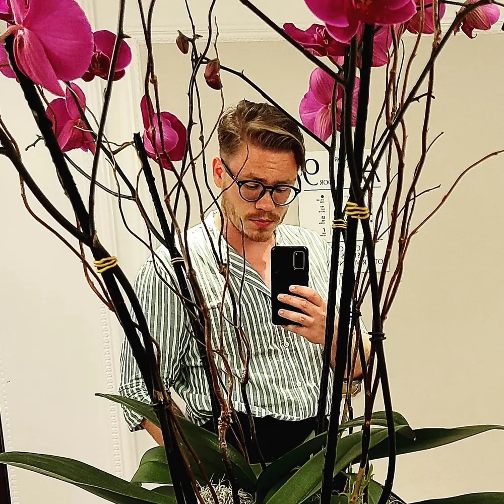 dklawhorn.bsky.social's profile picture