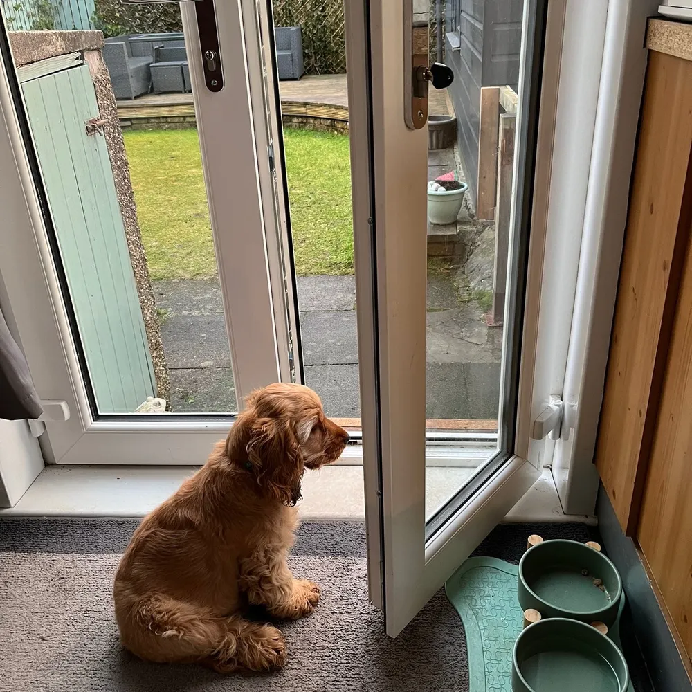 tcsouthbank.bsky.social's profile picture