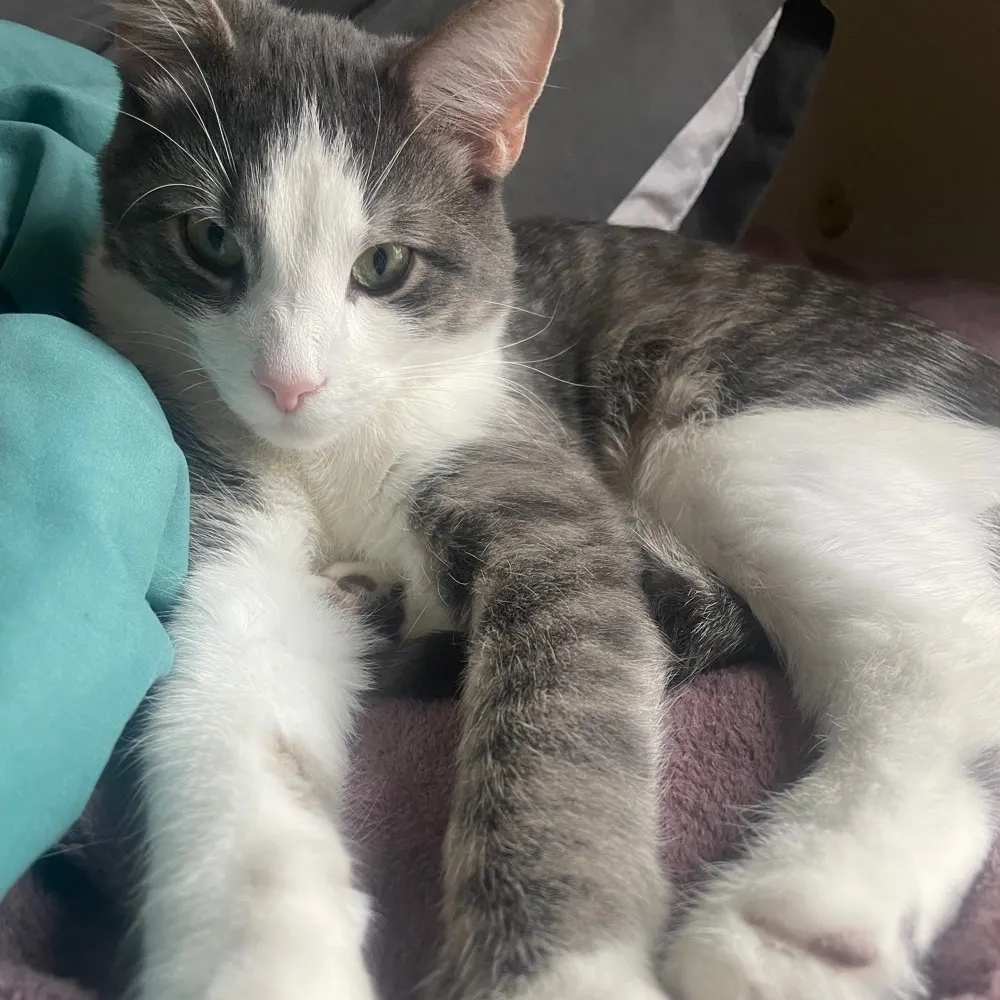 yearofthedoug.bsky.social's profile picture