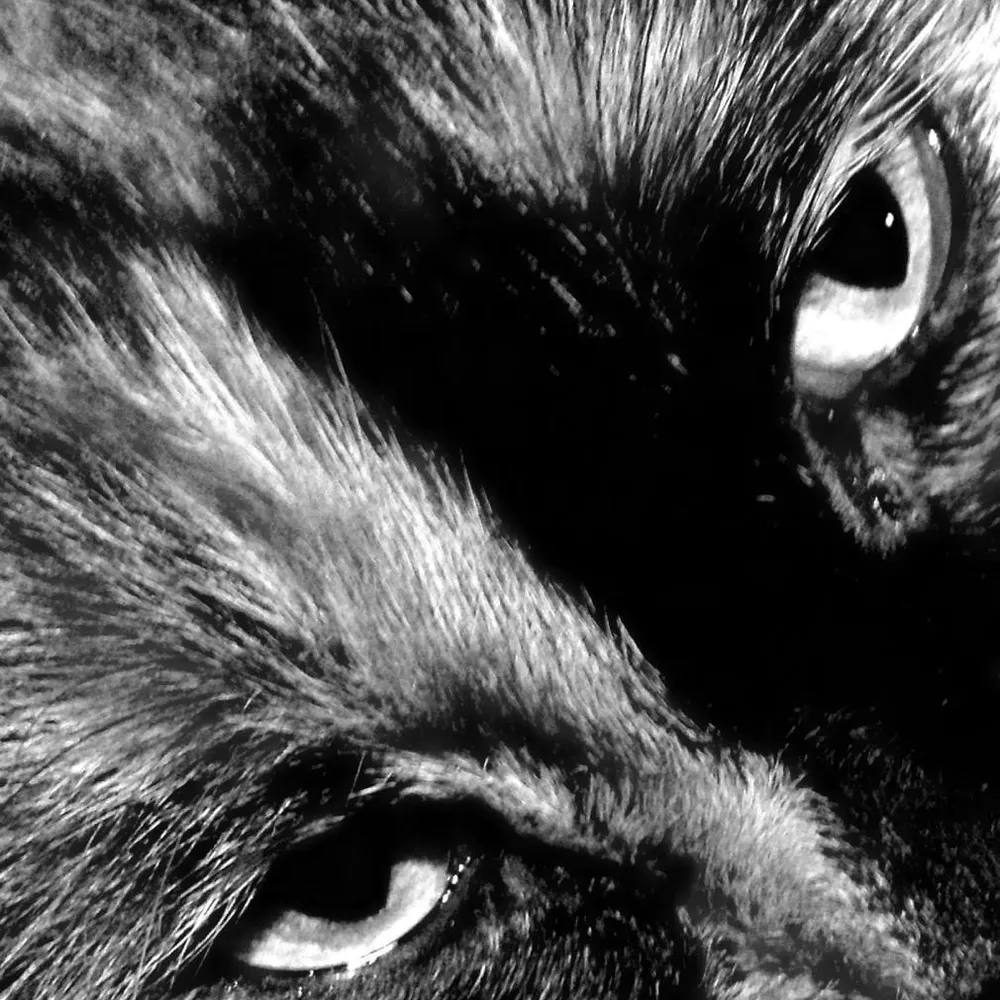 nudsy.bsky.social's profile picture