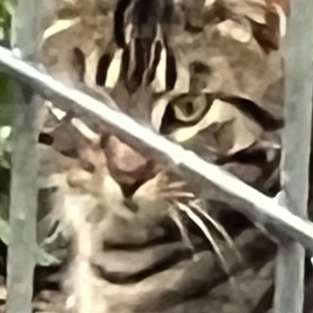 peterkurze.bsky.social's profile picture