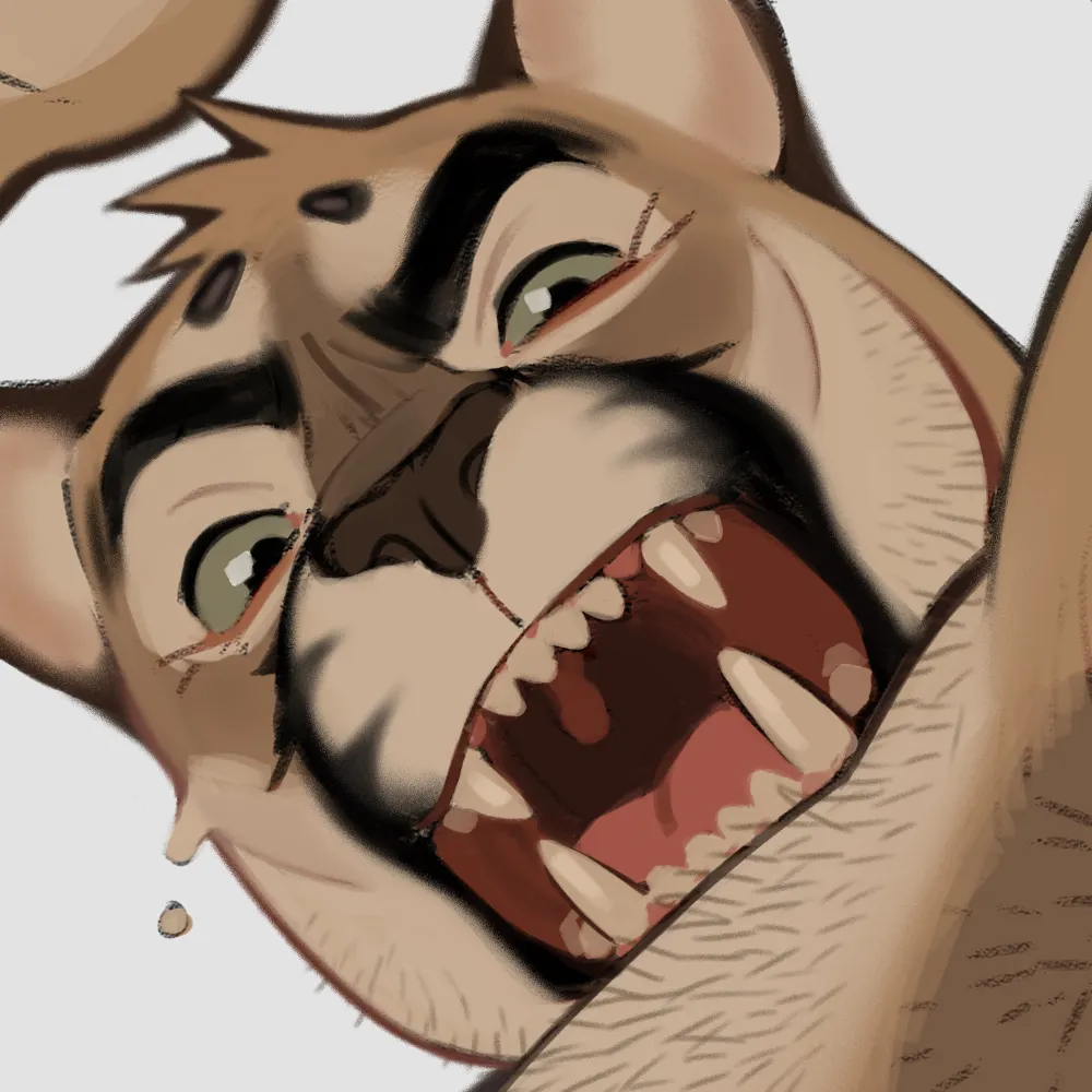 repzz.bsky.social's profile picture