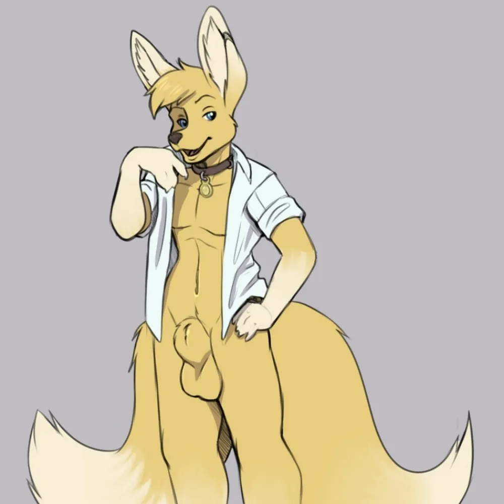 deggisfox.bsky.social's profile picture